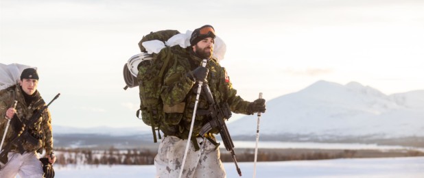 Cold Response 2020; Forsvaret, Norveç