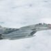 Hindistan’da MiG-29 savaş uçağı düştü