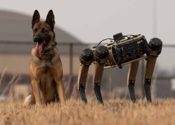 Ghost Robotics Vision 60 - robot köpek - robot k-9