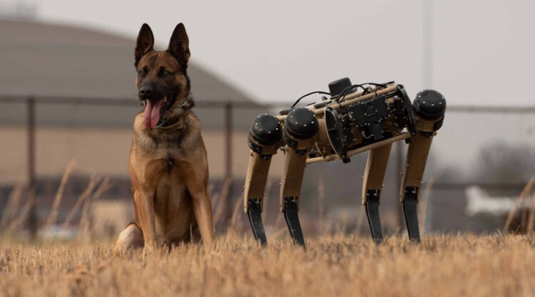Ghost Robotics Vision 60 - robot köpek - robot k-9
