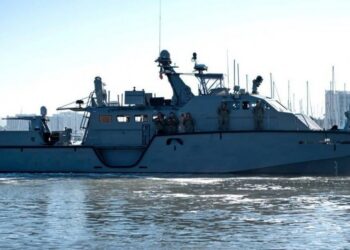 Ukrayna - ABD askerî yardım