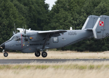 Polonyalı 80 askeri personel İncirlik’e konuşlanacak