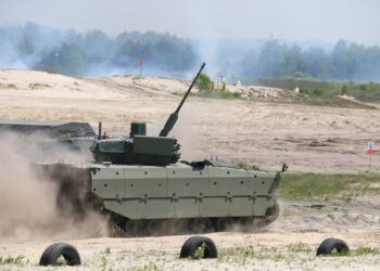 Polonya, Borsuk amfibik muharebe aracını tatbikatta kullandı