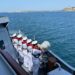 Pakistan gemisi BABUR, Çanakkale Şehitlerini selamladı