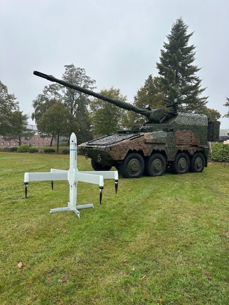 Alman girişime yoğun eleştiri