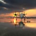 Airbus’tan Japonya hamlesi